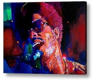 Thank you to an art collector from Bristow VA for buying STEVIE WONDER as an acrylic print